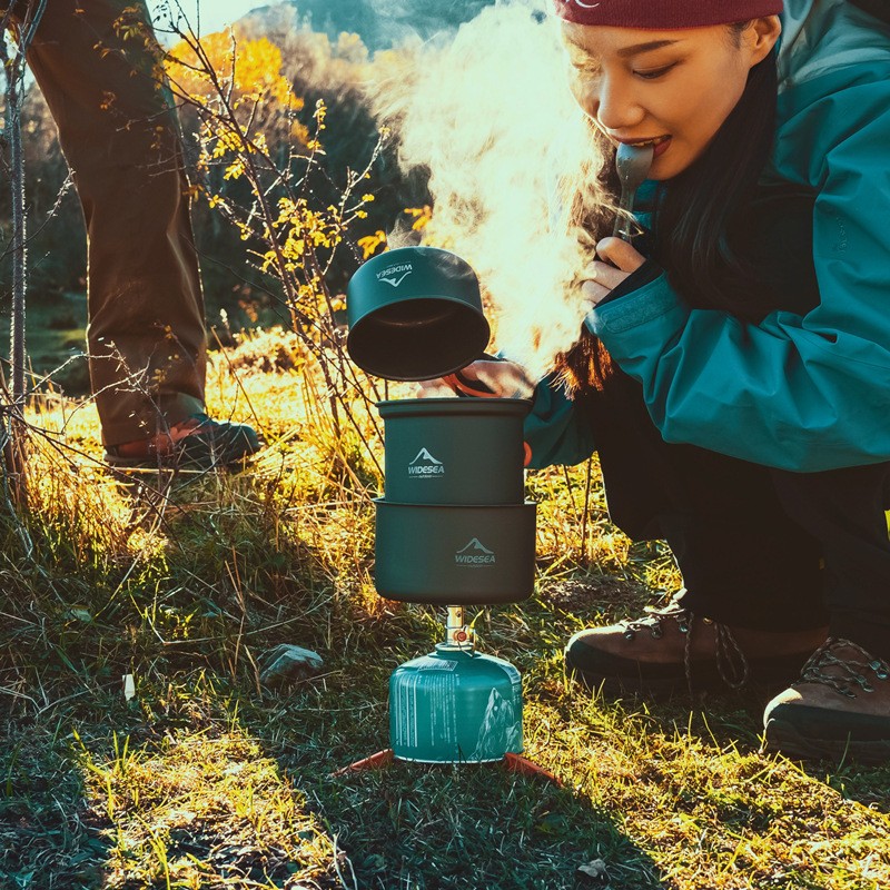 Widesea Portable Camping Stove - Camping Cooking One Pot 评论和价格