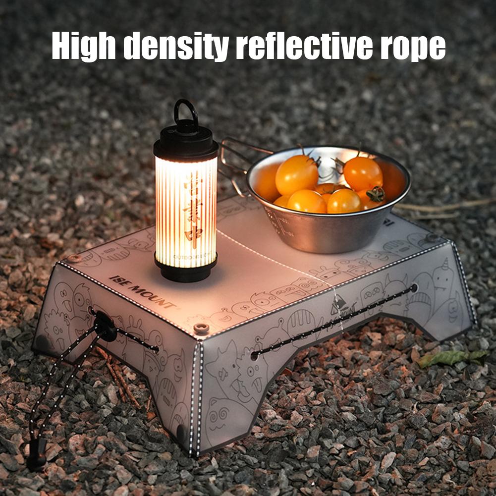 Portable Multi Folding Camping - Camping Cooking Tray 评论和价格