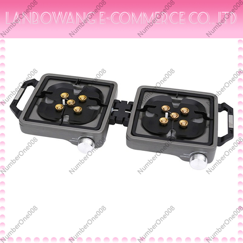 Outdoor Dual Burner High Power - Camping Cooking Fire 评论和价格