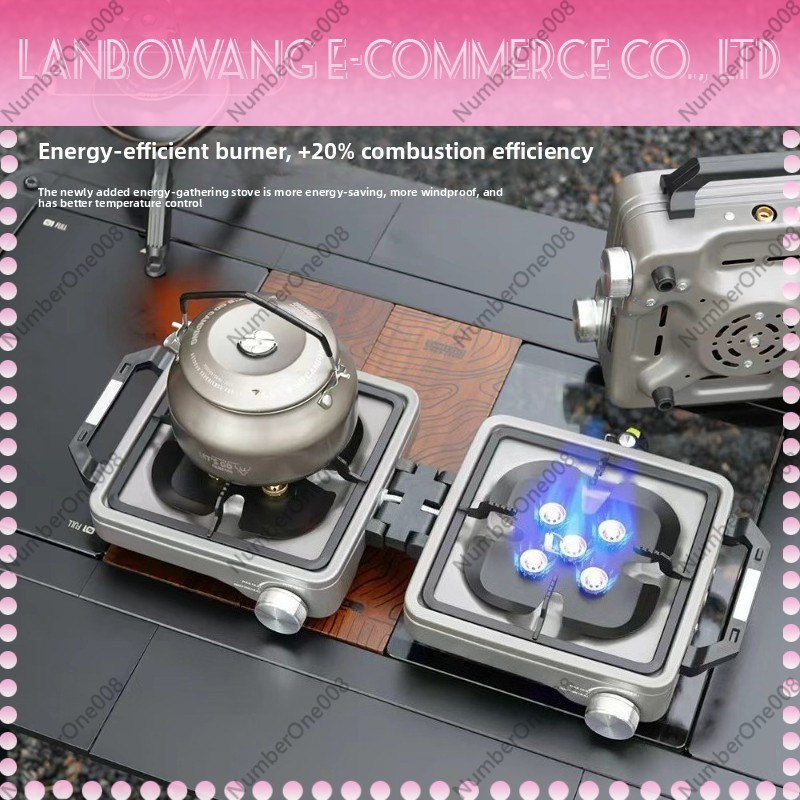 Outdoor Dual Burner High Power - Camping Cooking Fire 评论和价格