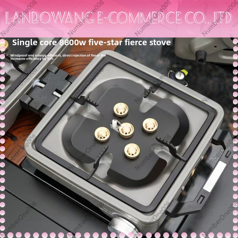 Outdoor Dual Burner High Power - Camping Cooking Fire 评论和价格